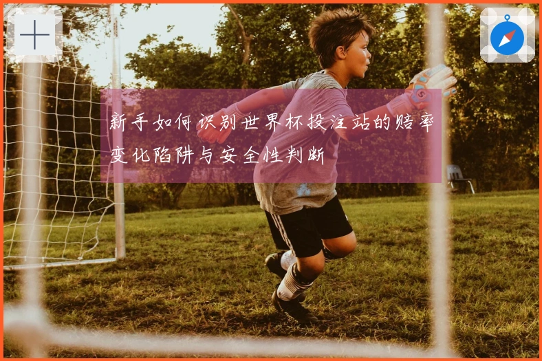 新手如何识别世界杯投注站的赔率变化陷阱与安全性判断