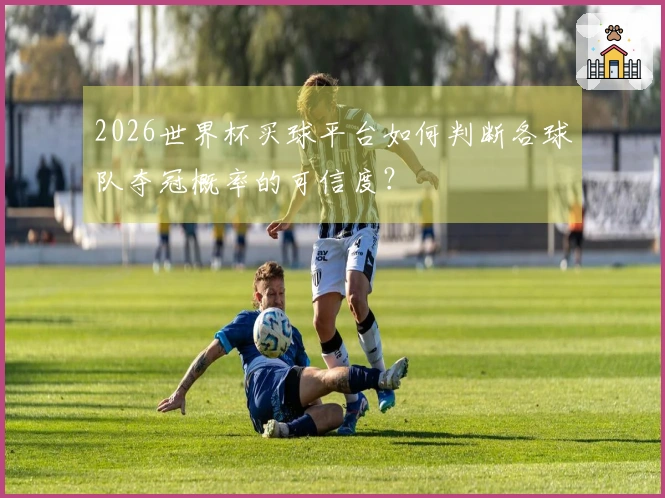 2026世界杯买球平台如何判断各球队夺冠概率的可信度？